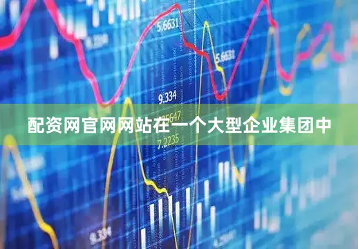 配资网官网网站在一个大型企业集团中