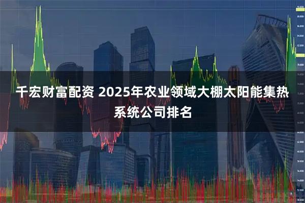 千宏财富配资 2025年农业领域大棚太阳能集热系统公司排名