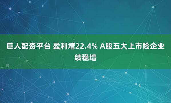 巨人配资平台 盈利增22.4% A股五大上市险企业绩稳增