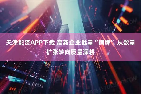 天津配资APP下载 高新企业批量“摘牌” 从数量扩张转向质量深耕