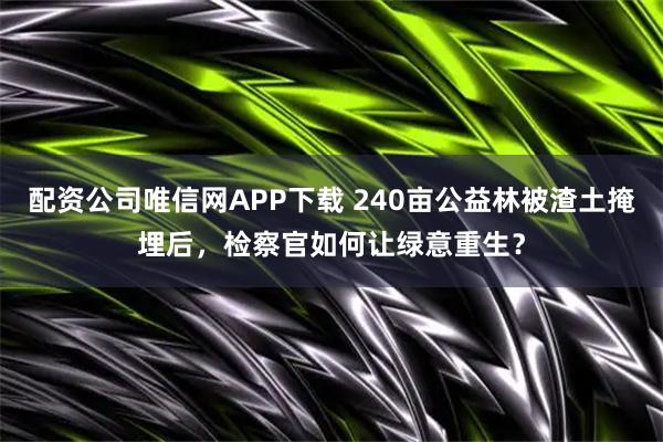 配资公司唯信网APP下载 240亩公益林被渣土掩埋后，检察官如何让绿意重生？