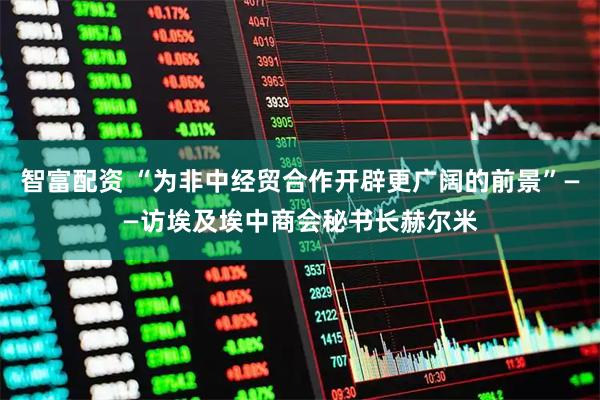 智富配资 “为非中经贸合作开辟更广阔的前景”——访埃及埃中商会秘书长赫尔米