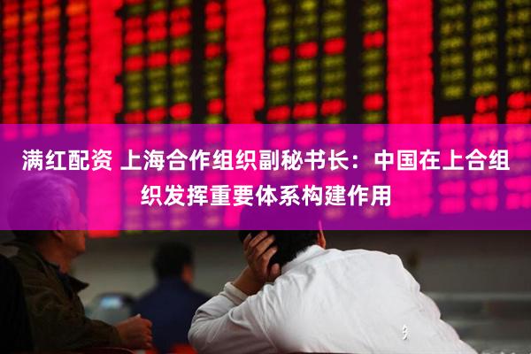 满红配资 上海合作组织副秘书长：中国在上合组织发挥重要体系构建作用