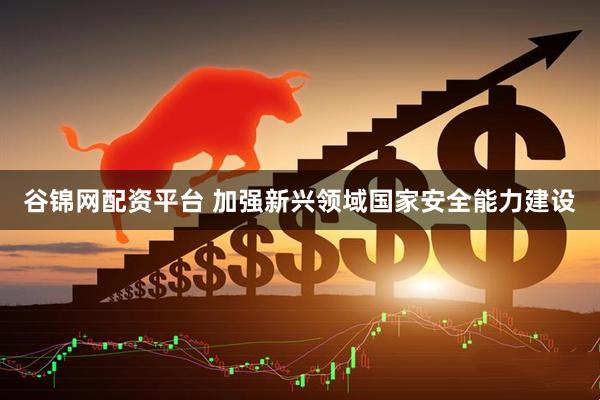 谷锦网配资平台 加强新兴领域国家安全能力建设