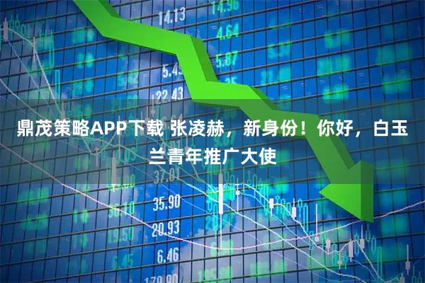 鼎茂策略APP下载 张凌赫，新身份！你好，白玉兰青年推广大使